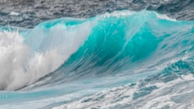 حالة الطقس اليوم: رياح وأتربة وغبار على 8 مناطق بالسعودية