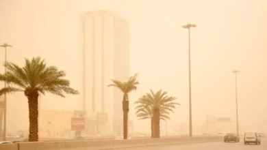 Hail and Tabuk weather: Active winds and reduced visibility until the evening