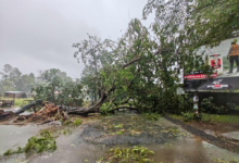 إعصار جيزاني يضرب مدغشقر: 20 قتيلاً ودمار واسع