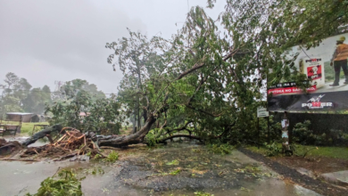 إعصار جيزاني يضرب مدغشقر: 20 قتيلاً ودمار واسع