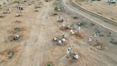 الكشافة السعودية تطلق حملة تشجير في منتزه الملك سلمان البري