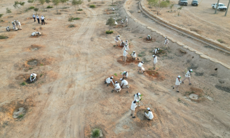 الكشافة السعودية تطلق حملة تشجير في منتزه الملك سلمان البري