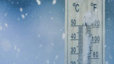 طقس السعودية اليوم: الحرارة تلامس 7 درجات وضباب كثيف