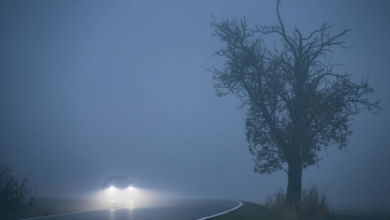 Saudi Arabia weather today: Fog in 3 regions and dust in the Eastern Province