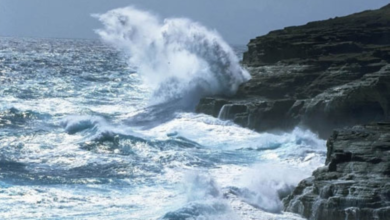 Today's weather: Winds and dust in 9 regions of Saudi Arabia