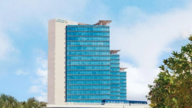 الموارد البشرية تنقل 100 ألف مستفيد من الضمان للإنتاج