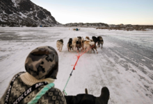 غرينلاند تسجل أدفأ يناير تاريخياً: أرقام صادمة وتغير مناخي