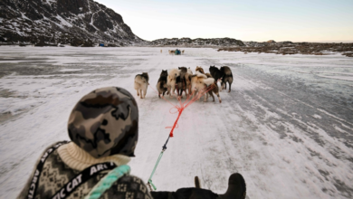 غرينلاند تسجل أدفأ يناير تاريخياً: أرقام صادمة وتغير مناخي