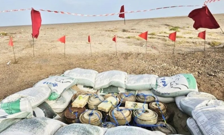 مسام ينزع 840 لغماً باليمن: حصاد الأسبوع الثاني من فبراير 2026