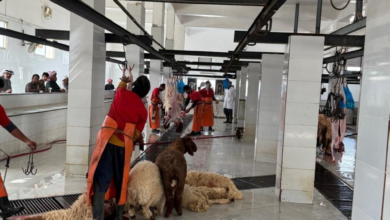 Hafar Al-Batin Environment Authority intensifies monitoring of slaughterhouses during Ramadan