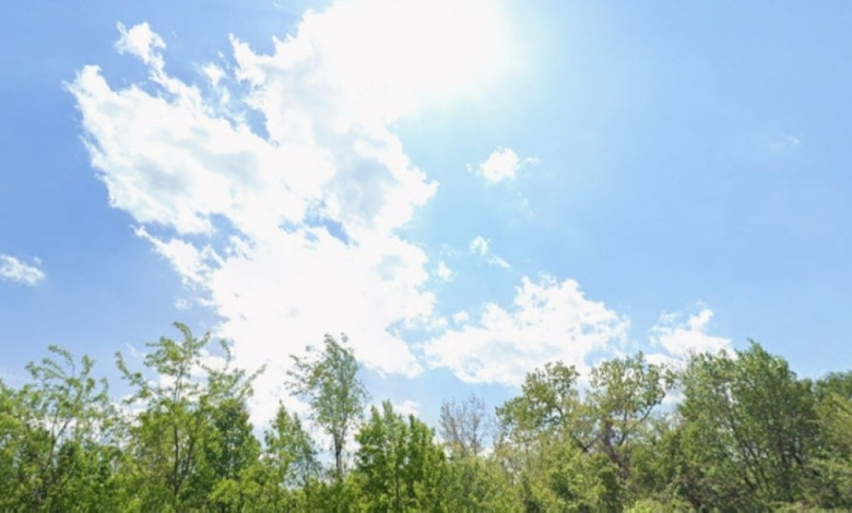 الأرصاد: انتهاء الشتاء في السعودية خلال 11 يوماً وبدء الربيع