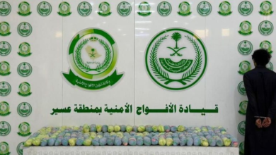 القبض على مروج قات في عسير: ضبط 33 كجم بحوزة مواطن