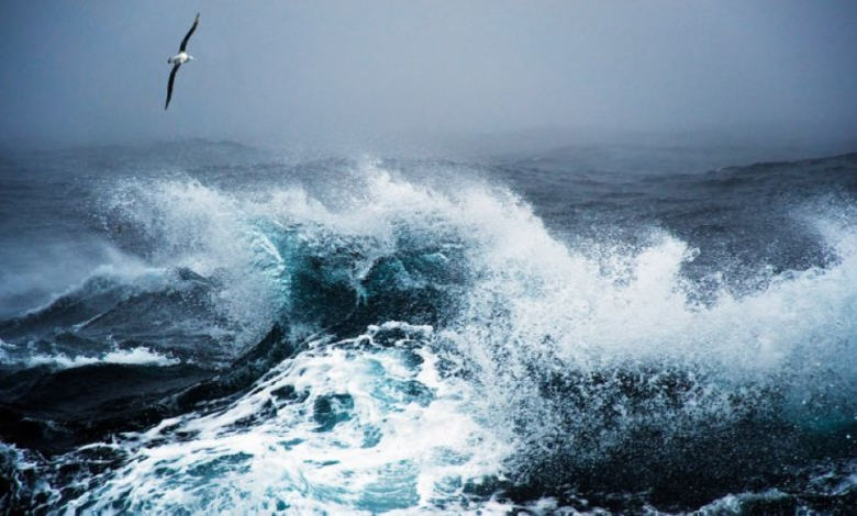 Today's weather: Dust-raising winds and fog in 7 Saudi regions