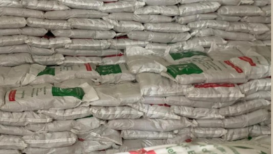 مركز الملك سلمان يطلق مشروع سلة إطعام في 4 دول لعام 2026