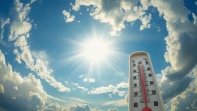 درجات الحرارة في السعودية اليوم: الأرصاد تحذر من الضباب وتدني الرؤية