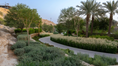 وادي حنيفة: مهد الدولة السعودية الأولى وشريان الدرعية التاريخي