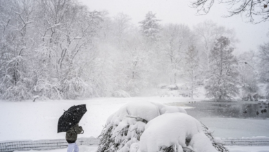عاصفة ثلجية في نيويورك تشل الحركة وتفرض الطوارئ