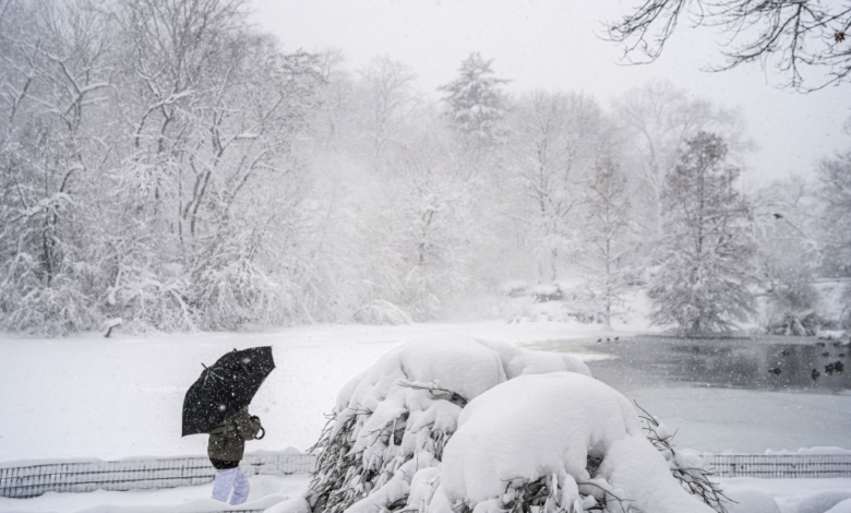 عاصفة ثلجية في نيويورك تشل الحركة وتفرض الطوارئ