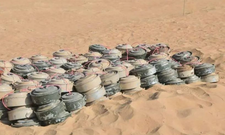 MASAM removes 2,676 landmines from Yemeni lands in one week
