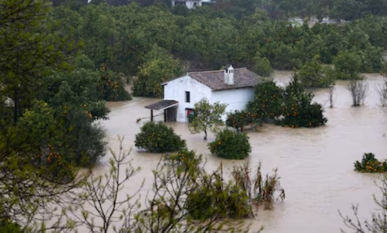 Brazil floods: 46 dead and thousands displaced in Minas Gerais