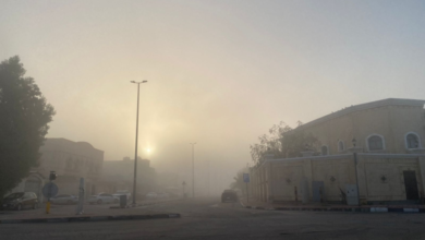 طقس الجوف وتنبيهات الأرصاد: ضباب ورياح نشطة بالمملكة