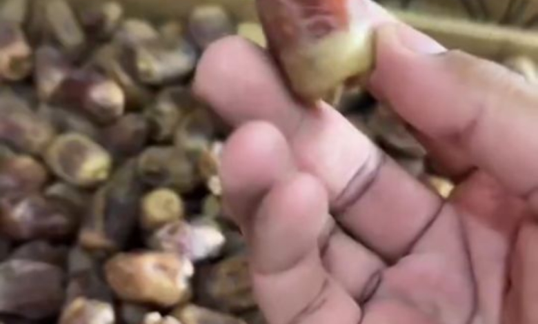 نصائح وزارة البيئة لشراء تمور رمضان بأمان وجودة عالية