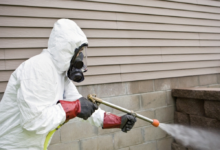 ضوابط استخدام المبيدات الزراعية: 7 محظورات لحماية الإنسان والبيئة