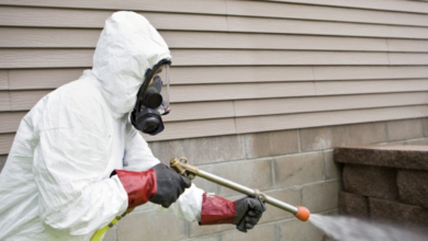 ضوابط استخدام المبيدات الزراعية: 7 محظورات لحماية الإنسان والبيئة