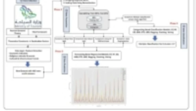 A study predicts continued growth in Saudi tourism until 2034