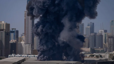 الإمارات تعترض 1500 صاروخ ومسيّرة: حقائق قوة الدفاع الجوي