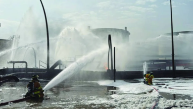 Gulf states continue to counter Iranian interference to protect security