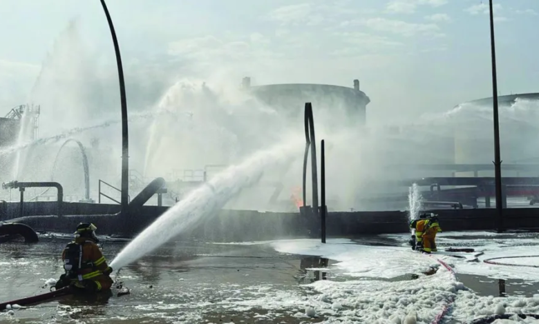 دول الخليج تواصل التصدي للتدخلات الإيرانية لحماية الأمن