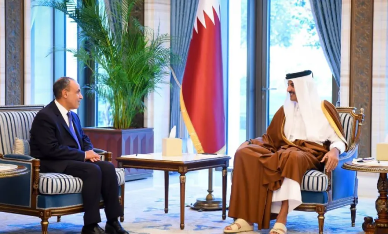Egyptian Foreign Minister and Qatari Emir discuss de-escalation