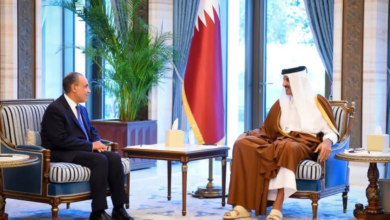 جولة خليجية لوزير الخارجية المصري بدر عبد العاطي | تفاصيل