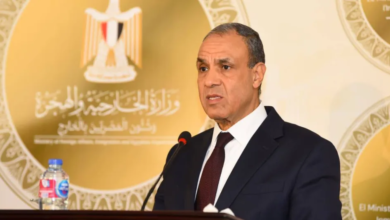 Egypt calls for security mechanisms to protect the resources of Arab countries