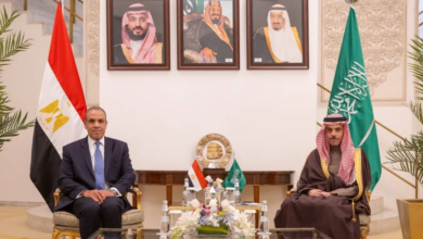Details of Saudi-Egyptian talks to de-escalate tensions in the region