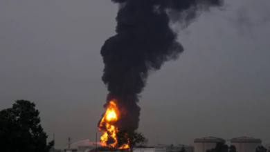 Gulf states assert air superiority and shoot down Iranian drones