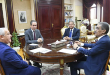 Egypt calls on Arab elites to work to quell media discord