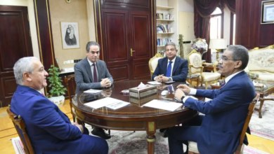 Egypt calls on Arab elites to work to quell media discord