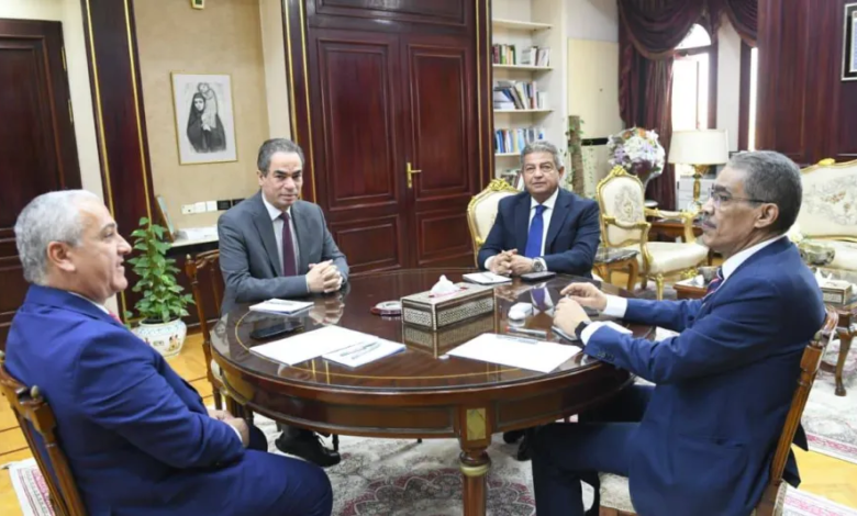 مصر تدعو النخب العربية للعمل على وأد الفتنة الإعلامية