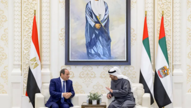 محمد بن زايد والسيسي يبحثان تعزيز التعاون ورفض التصعيد