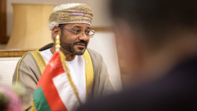 Oman's efforts to ensure safe passage through the Strait of Hormuz