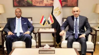 تقنين أوضاع المدارس السودانية بمصر بعد أزمة الإغلاق