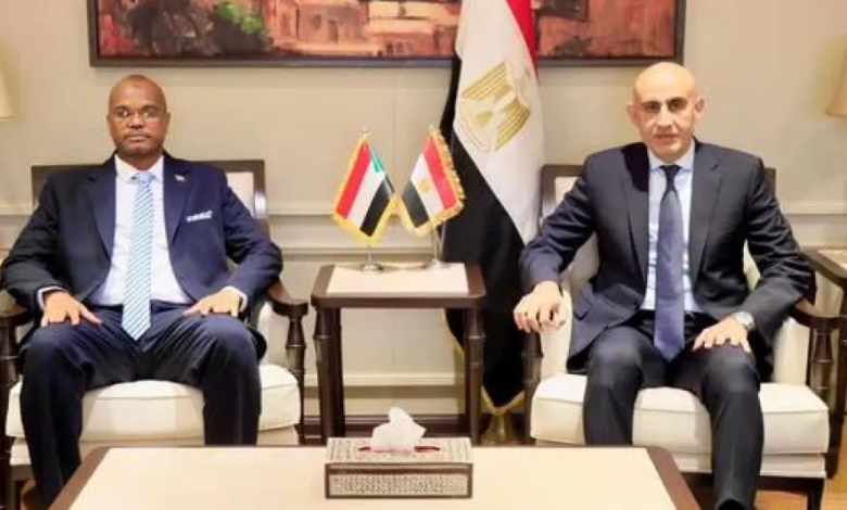 تقنين أوضاع المدارس السودانية بمصر بعد أزمة الإغلاق