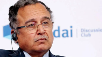 دعم عربي لترشيح نبيل فهمي أميناً عاماً للجامعة العربية