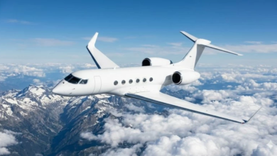 1,560 flights to the Middle East cancelled: Cirium report and the impact of tensions