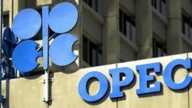 أوبك: خطط تعويض فائض النفط من 4 دول وتأثيرها على الأسعار