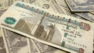 سعر الريال السعودي اليوم في مصر مقابل الجنيه في البنوك