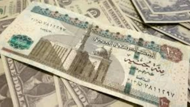 سعر الريال السعودي اليوم مقابل الجنيه في البنوك المصرية