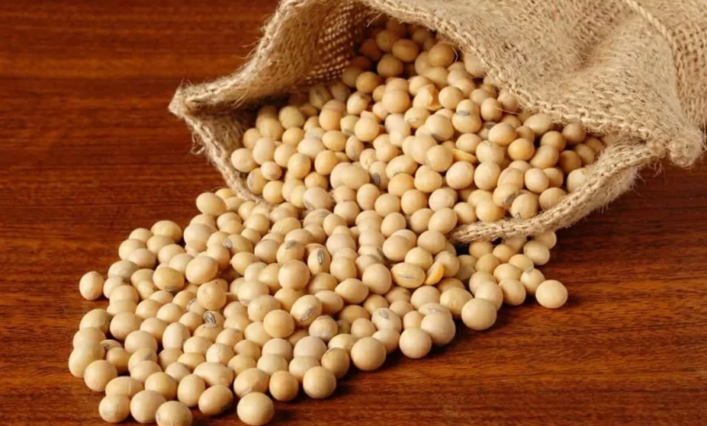 Soybean prices fell after the postponement of US-China talks